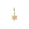Double Triangle Star of David Charm