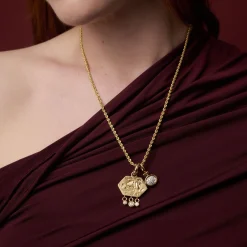 Fish Cold Wonda Charm