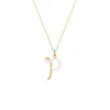 'P' Initial Alphabet Necklace in Yellow Gold