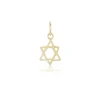 Small Star of David Charm