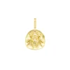 Spider Medal Charm in Yellow Gold
